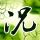 格林第一季